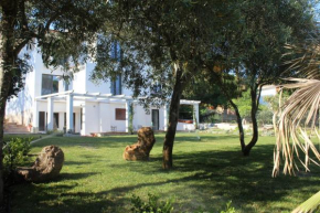  Villa La Conchiglia Rooms  Кала Либеротто